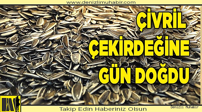 ÇİVRİL ÇEKİRDEĞİ İÇİN ŞANS
