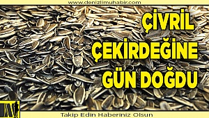 ÇİVRİL ÇEKİRDEĞİ İÇİN ŞANS