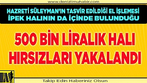 Denizli'de çalıntı ipek halıyı jandarmaya satmak isteyen şüpheli tutuklandı