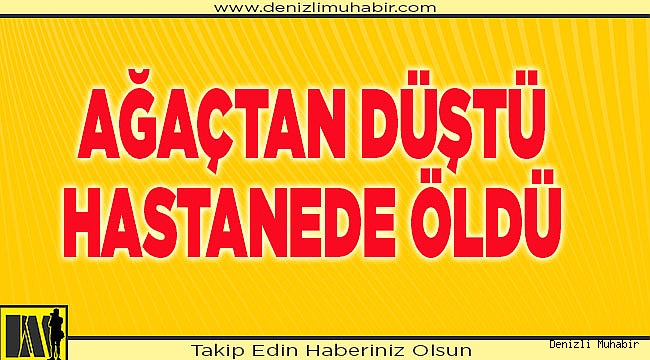 Hastanede yaşama tutunamadı