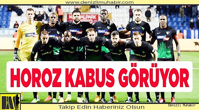 Horoz kabus görüyor