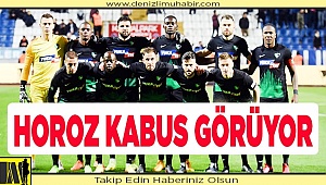 Horoz kabus görüyor