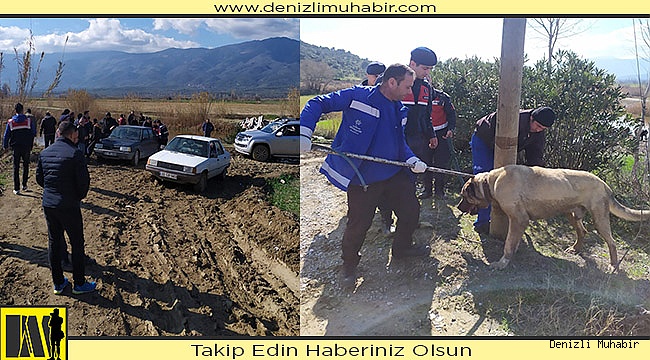  Köpek dövüştürdüğü öne sürülen 3 kişi gözaltına alındı