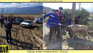  Köpek dövüştürdüğü öne sürülen 3 kişi gözaltına alındı