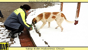 MERKEZEFENDİ BELEDİYESİ SOKAK HAYVANLARINI UNUTMADI