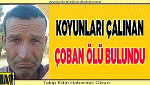 Sürüyle dönmeyen çoban ölü bulundu