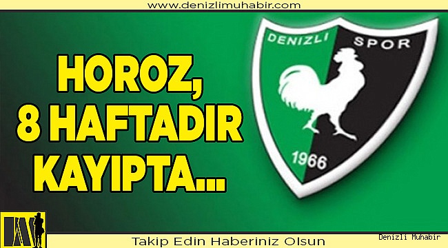Yukatel Denizlispor, Süper Lig'de 8 haftadır kazanamıyor