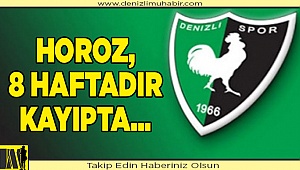 Yukatel Denizlispor, Süper Lig'de 8 haftadır kazanamıyor