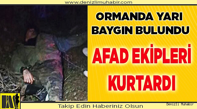 AFAD, Ormanda yarı baygın buldu