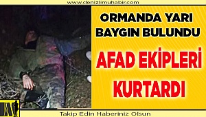 AFAD, Ormanda yarı baygın buldu