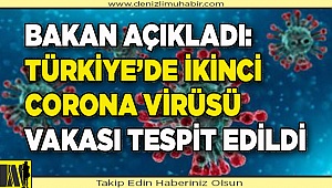 Bakan açıkladı: Türkiye’de ikinci corona virüsü vakası tespit edildi