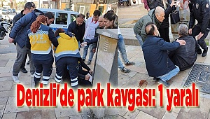 Denizli'de park kavgası: 1 yaralı