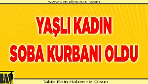 Denizli'de soba can aldı