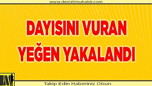 Denizli'de tartıştığı dayısını pompalı tüfekle yaralayan yeğen yakalandı