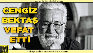Dünyaca ünlü Denizlili mimar vefat etti
