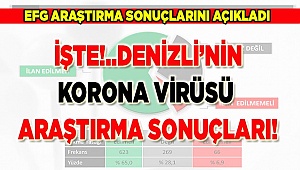 EFG, Denizli Korona Virüsü Araştırması sonuçlarını açıkladı