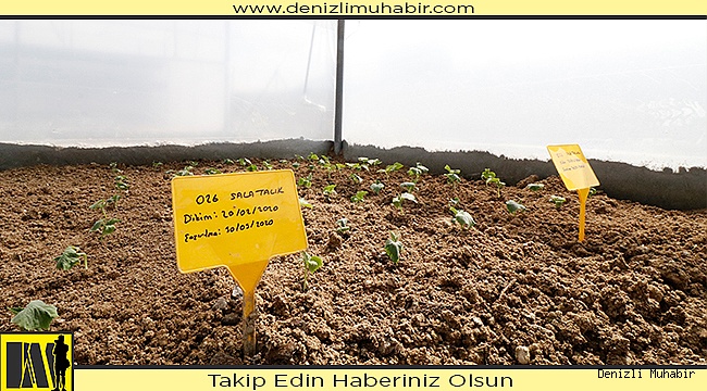 Honaz’da tohumlar toprakla buluştu
