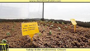 Honaz’da tohumlar toprakla buluştu
