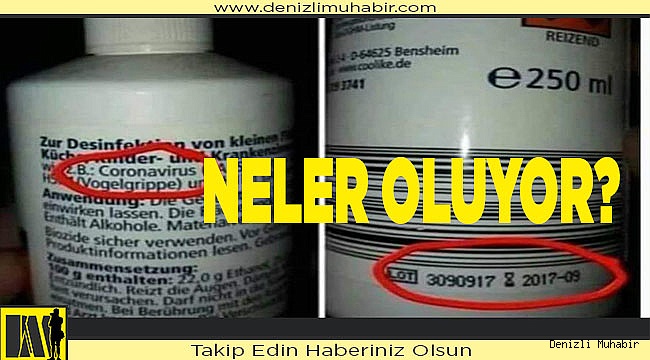 NELER OLUYOR?