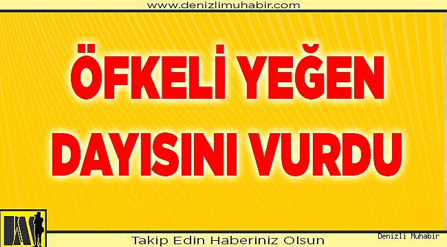 Öfkeli yeğen, dayısını vurdu