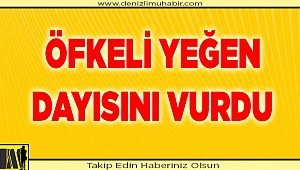 Öfkeli yeğen, dayısını vurdu