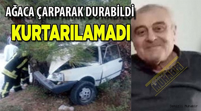 Otomobil ağaca çarptı: 1 ölü, 1 yaralı