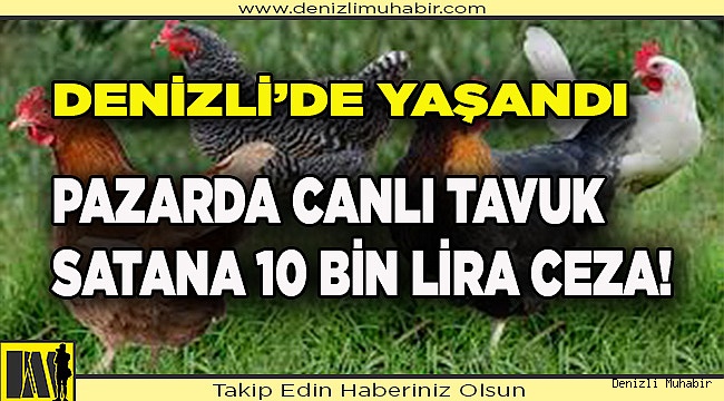 Pazarda canlı Tavuk satana 10 bin lira ceza kesildi