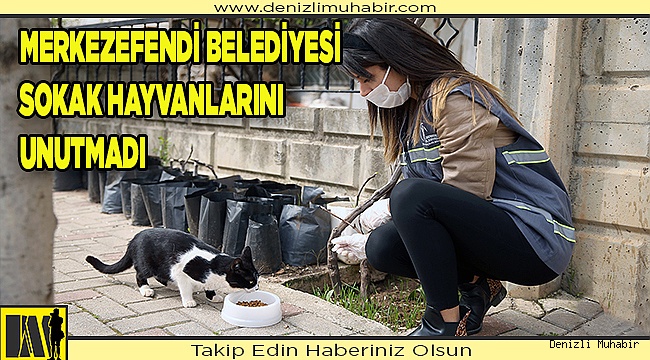 “SİZ EVDE KALIN, CAN DOSTLAR BİZE EMANET”