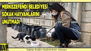 “SİZ EVDE KALIN, CAN DOSTLAR BİZE EMANET”