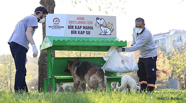 Büyükşehir can dostları da unutmadı