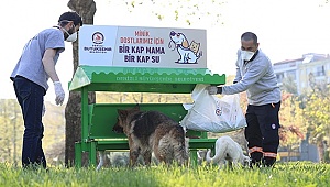 Büyükşehir can dostları da unutmadı