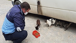 ÇAL’DAN DOSTLARA SICAK DOKUNUŞ