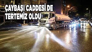 Çaybaşı Caddesi yıkanıp dezenfekte edildi