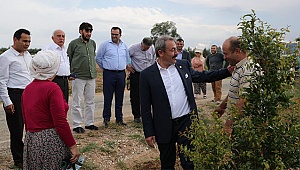 ÇİFTÇİ BORÇLARI FAİZSİZ 6 AY ERTELENİYOR!