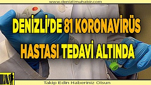 Denizli'de 81 koronavirüs hastası tedavi altında
