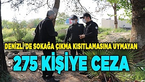 Denizli'de sokağa çıkma kısıtlamasına uymayan 275 kişiye ceza