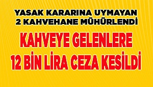 Denizli'de yasağa rağmen faaliyetini sürdüren 2 kahvehane mühürlendi