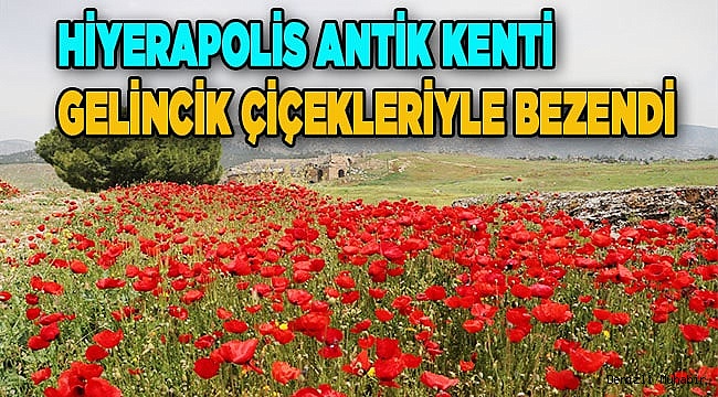 Hierapolis Antik Kenti gelincik çiçekleriyle bezendi