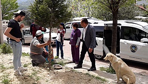 Karantina günlerinde sokak hayvanları unutulmadı