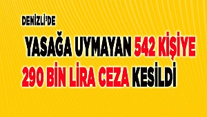 Pamukkale ilçesinde yasağa uymayanların listesi kabarık