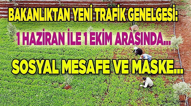 81 il Valiliğine gönderildi