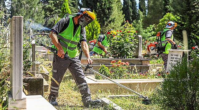 Büyükşehir, mezarlıkları temizliyor
