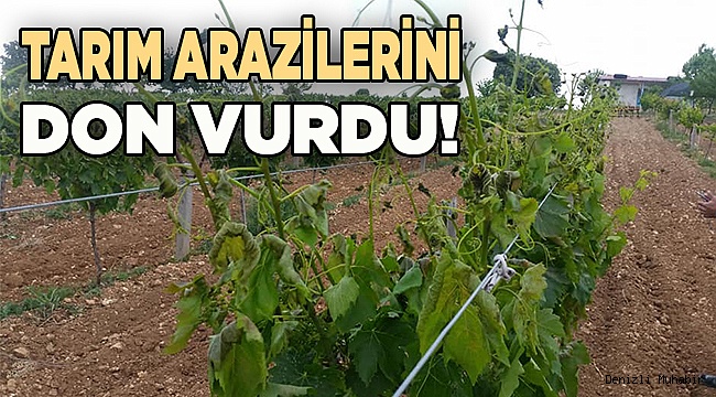 Çal'da 2 mahalleyi soğuk hava çarptı