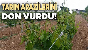 Çal'da 2 mahalleyi soğuk hava çarptı