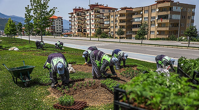 Çiçekler toprakla buluşuyor