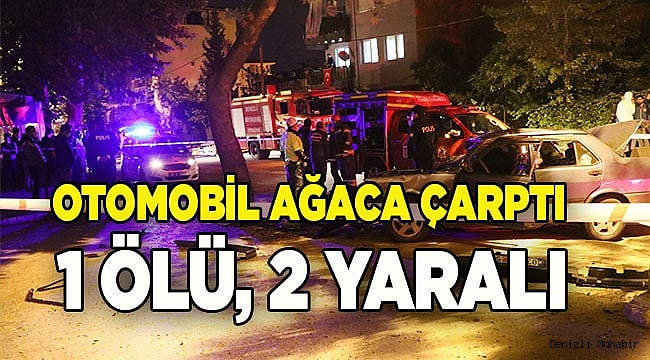 Denizli'de ağaca çarpan otomobildeki 1 kişi öldü, 2 kişi yaralandı