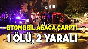 Denizli'de ağaca çarpan otomobildeki 1 kişi öldü, 2 kişi yaralandı
