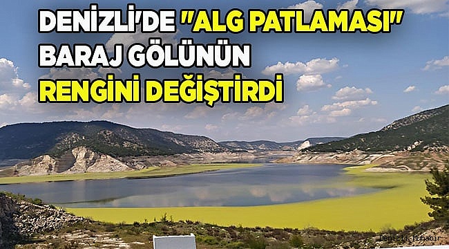 Denizli'de "alg patlaması" baraj gölünün rengini değiştirdi