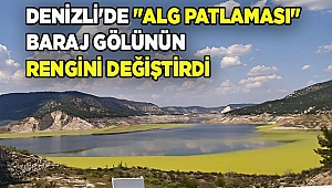 Denizli'de "alg patlaması" baraj gölünün rengini değiştirdi