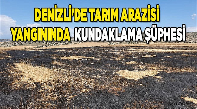 Denizli'de tarım arazisi yangınında kundaklama şüphesi